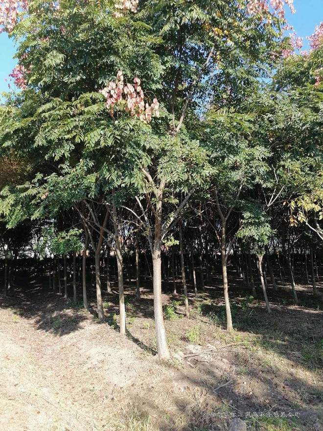 202010131101122603.jpg